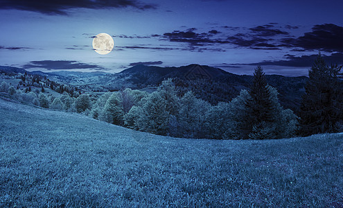 山林附近的山丘草地 夜间图片