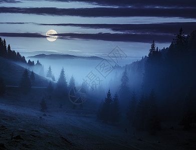 夜里在山顶周围雾雾太阳星星阴霾旅行薄雾国家环境公园松树光束图片