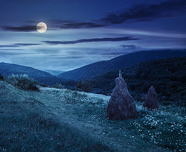 夜间在山坡上用干草堆乡村绿色环境天空国家草地月亮自然风景村庄图片