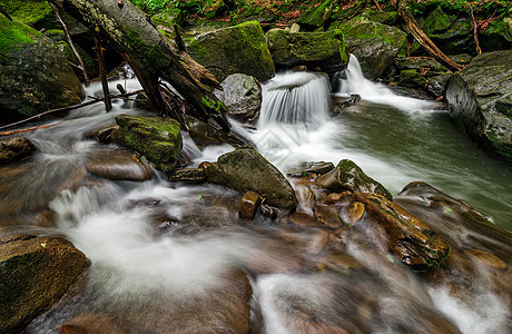 河流上小级联在森林中农耕之间激流环境力量生态叶子流动岩石石头苔藓场景图片