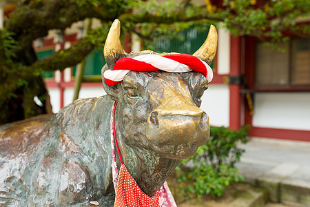 神社的公牛雕像学者奶牛神道吸引力教育斑块寺庙木头地标旅行图片