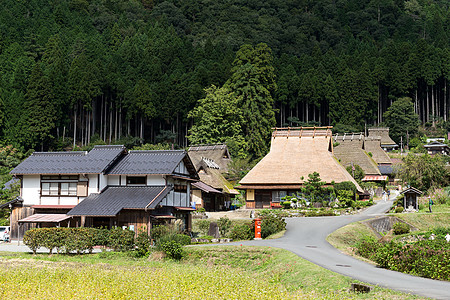 日本京都美山建筑季节游客农村房子土地风景农田农场天空图片