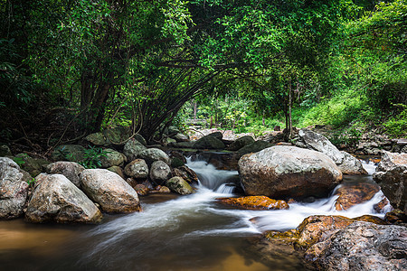 热带森林中岩流的水道图片
