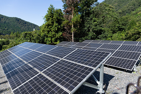 太阳能壁灯户外太阳能电池板力量太阳能太阳需求发电机细胞森林植物蓝色活力背景