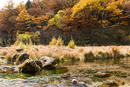 日本Nikko的秋天风景图片