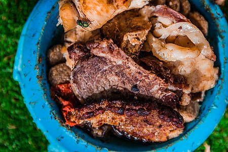 狗食物碗中不同类型的烤肉 不同种类的烤肉塑料小吃公园盘子猪肉羊肉草地狗粮后院呕吐图片