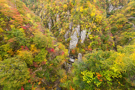 纳鲁科峡谷和秋天叶子植物橙子农村风暴鸣子火车悬崖木头公园岩石图片