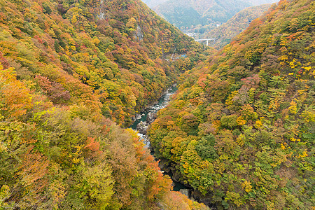 流水川的美丽风景图片