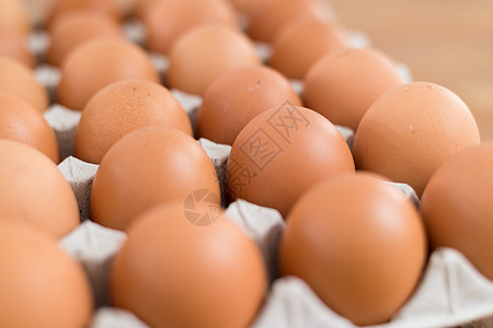 包装中新鲜鸡蛋农场棕色存储烹饪产品盒子动物纸板团体纸盒图片