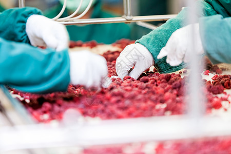 冷冻草莓加工企业覆盆子生产浆果制造业团队工作工厂仓库冻结团体图片