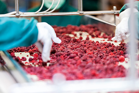 冷冻草莓加工企业仓库植物制造业收成浆果包装冻结工作团体工厂图片