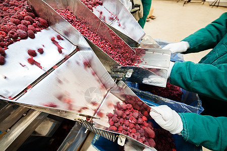 冷冻草莓加工企业收成工厂浆果植物冻结冰箱生产食物仓库覆盆子图片