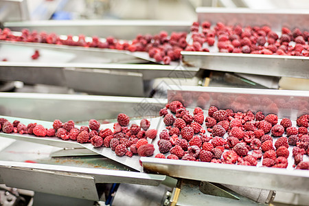 冷冻草莓加工企业浆果冰箱植物水果冻结覆盆子团体工厂仓库食物图片