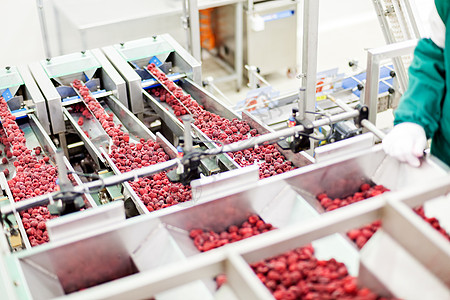 选择我们没有错冷冻草莓加工企业包装仓库冻结生产覆盆子收成工厂团体制造业浆果背景
