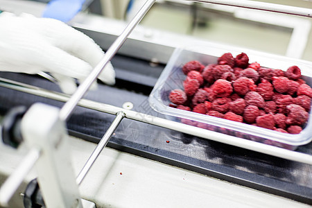 冷冻草莓加工企业包装覆盆子植物浆果冰箱收成生产冻结工厂仓库图片