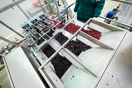 冷冻草莓加工企业仓库水果宏观工作制造业工厂浆果包装团体收成图片