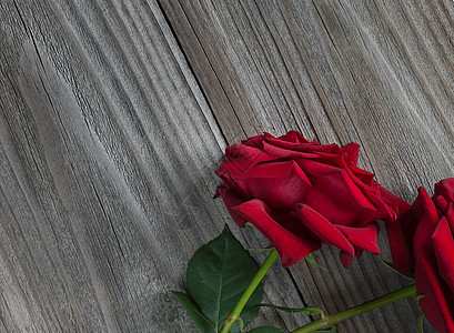 两朵红玫瑰放在木制背景上婚礼假期夫妻绿色花瓣植物周年浪漫礼物叶子图片