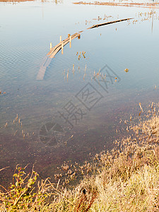 海水中码头地带水下木制行走道凹陷地平线支撑国家木头植物森林洪水波浪钓鱼图片