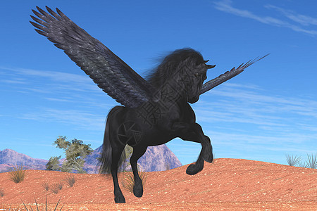 黑斑马3d动物航班寓言荒野神话生物传奇黑色翅膀图片