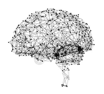 人类智能与人脑的概念科学智力解剖学诊断网络教育头脑生物学多边形扫描图片