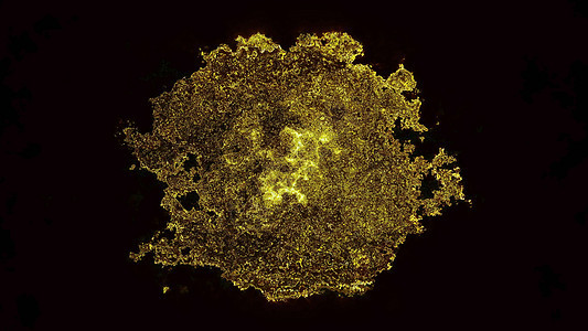 微微生物病毒 数字图解 3病菌感染癌症动脉克隆划分微生物流通技术生物学图片