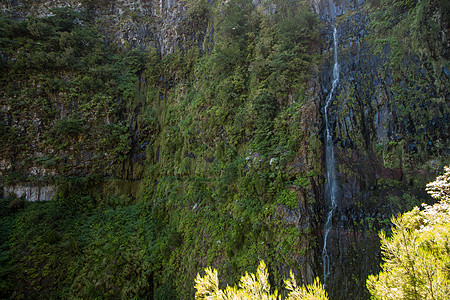 25字体的Levada石头岩石旅行小路喷泉踪迹美丽森林灌溉溪流图片
