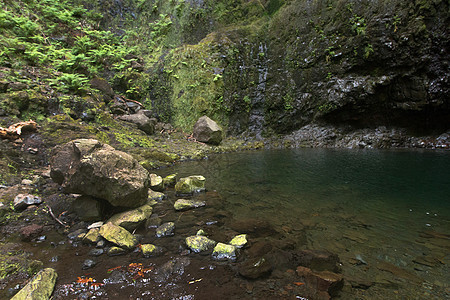 Caldeirao 佛得角的Levada踪迹瀑布旅行旅游池塘阴影远足溪流灌溉岩石图片