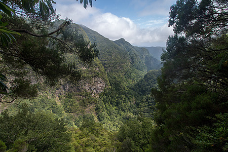 Caldeirao 佛得角的Levada旅行阴影岩石溪流灌溉石头踪迹小路旅游健康图片