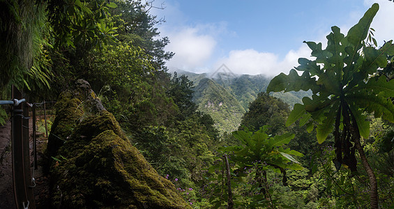 Caldeirao 佛得角的Levada岩石石头旅游小路热带溪流森林远足旅行健康图片