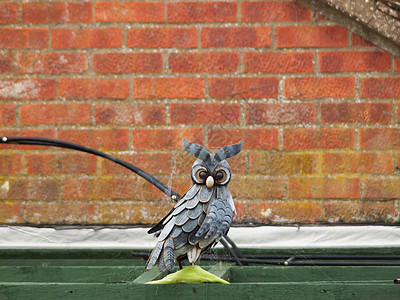 hom 屋顶上有趣的猫头鹰装饰雕像图片