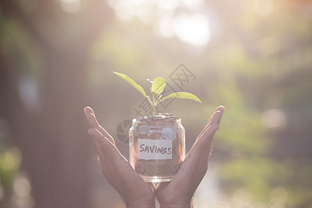 拯救金钱概念为日益增长的未来预设了货币硬币花费公园推杆薪水日出生长阳光统计商业环境图片