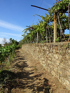 葡萄牙圣地亚哥朝圣小道小路环境生物城市风景旅行场地旅游栖息地远足图片