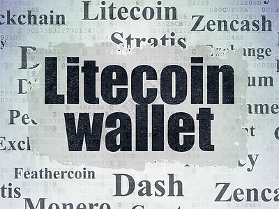 数字数据纸背景上的概念 Litecoin 钱包软件金融货币投资矿业电脑密码硬币现金银行业图片