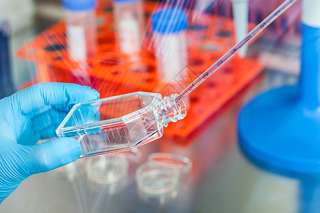 与细胞培养炉合作的科学家实验室内阁蓝色兜帽管子安全药品塑料流动液体图片