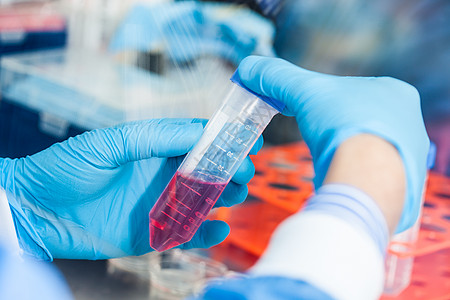 科学家在无菌兜帽下用猎鹰管工作生物学管子蓝色流动遗传学内阁微生物学手指生物文化图片