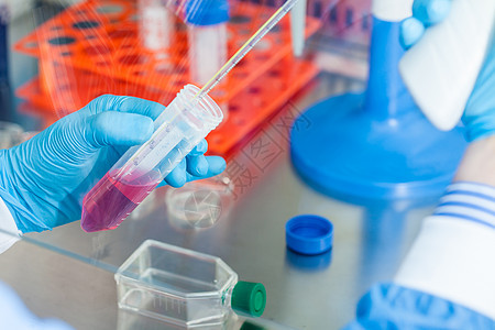 科学家在无菌兜帽下用猎鹰管工作生物安全吸管生物学材料塑料化学手指科学遗传学图片