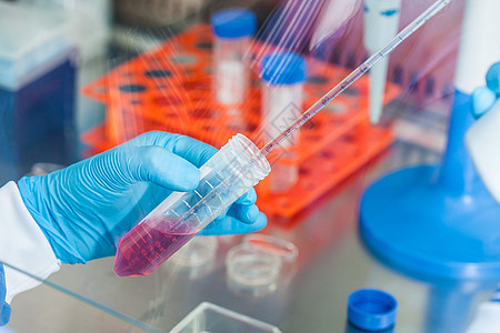 细菌学科学家在无菌兜帽下用猎鹰管工作微生物学调查架子管子兜帽实验室生物学蓝色样本遗传学背景