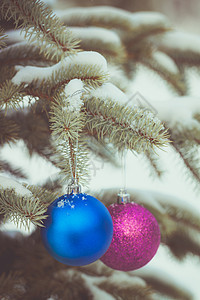 雪树枝上的蓝色和紫色圣诞树玩具丝带动物问候语季节雪花庆典装饰卡片风格海报图片