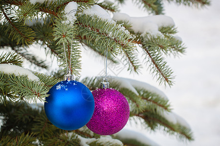 雪树枝上的蓝色和紫色圣诞树玩具装饰礼物庆典海报动物问候语季节雪花火花假期图片