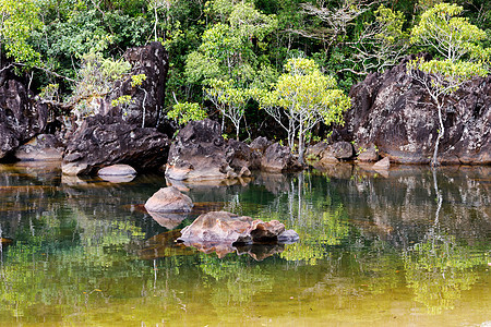 Masoala 国家公园景观 马达加斯加森林石头热带假期太阳国家旅行海岸溪流全景图片
