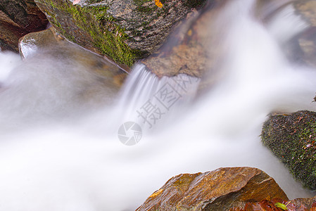 山上的瀑布 秋林和树叶生态森林石头自然生活荒野苔藓植物流动植被图片