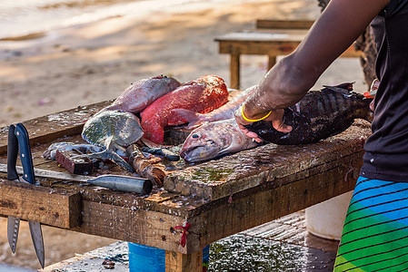 渔民用手在木桌上打扫鱼图片