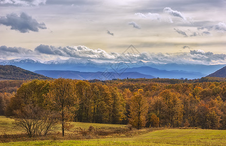 色彩多彩的秋树场景天空蓝色农村爬坡旅行森林季节风景旅游图片