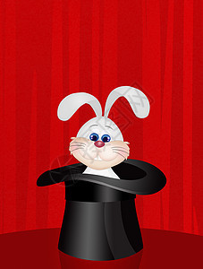 在魔术师帽子中的兔子图片