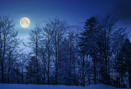 夜间在雪山边的森林里星星辉光爬坡木头辉煌黑夜公园月亮风景地面图片