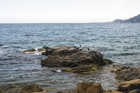 美丽的海景和岩石蓝色海浪荒野海洋海岸戏剧性地平线日落支撑太阳图片