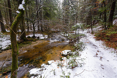 山区河流 溪流 深秋急流的小溪 初冬的雪 温特加峡谷 斯洛文尼亚树木森林生活植物苔藓瀑布冥想国家叶子公园图片