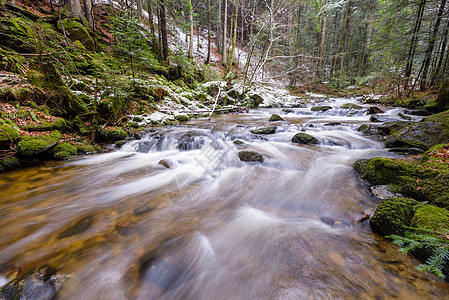 山区河流 溪流 深秋急流的小溪 初冬的雪 温特加峡谷 斯洛文尼亚森林植被瀑布岩石生活叶子公园荒野旅行石头图片