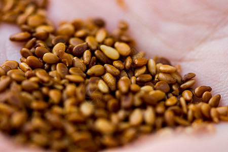 手上有百谷的种子饮食粮食谷物纤维食物亚麻小麦植物棕色团体图片