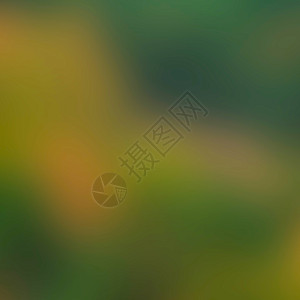 绿色抽象模糊背景房间海报黄色帆布正方形横幅体积摄影空白森林图片